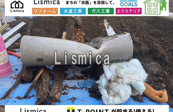 排水管破損による修繕工事及び伐根